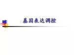 基因表达调控 - slide 1