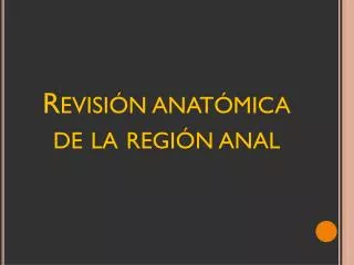 revisi n anat mica de la regi n anal