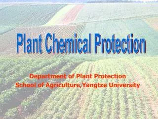 Plant Chemical Protection