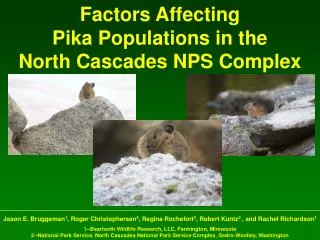 Factors Affecting Pika Populations in the North Cascades NPS Complex