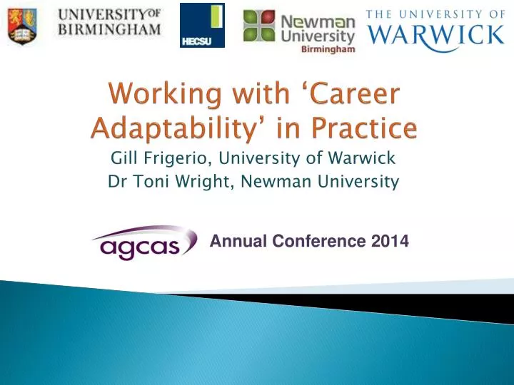 working with career adaptability in practice
