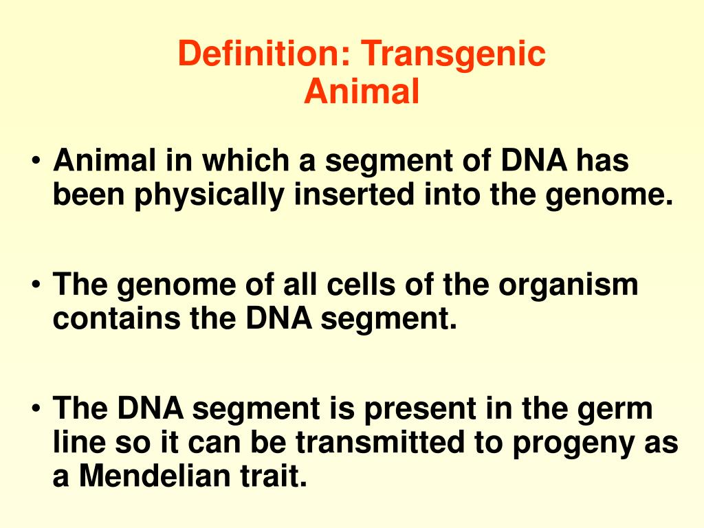 PPT - Definition: Transgenic Animal PowerPoint Presentation, free ...