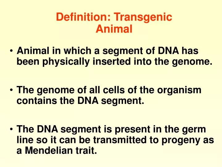 definition transgenic animal