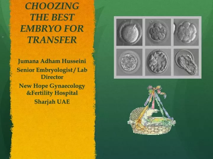 choozing the best embryo for transfer