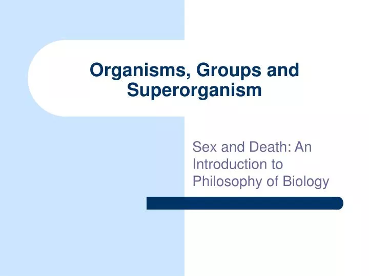 organisms groups and superorganism