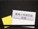 暑期小学期实验总结 - slide 1