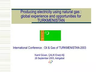 Producing electricity using natural gas : global experience and opportunities for TURKMENISTAN