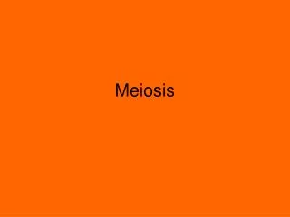 Meiosis