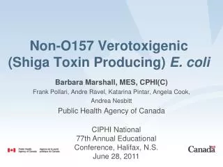 Non-O157 Verotoxigenic (Shiga Toxin Producing) E. coli