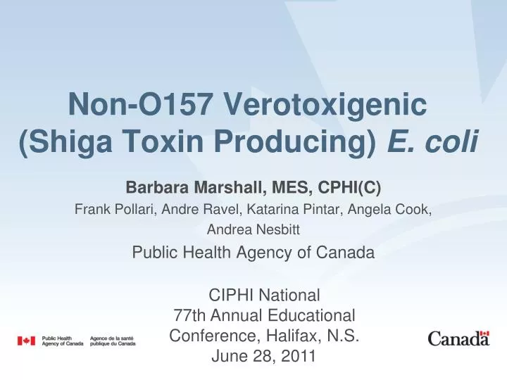 non o157 verotoxigenic shiga toxin producing e coli