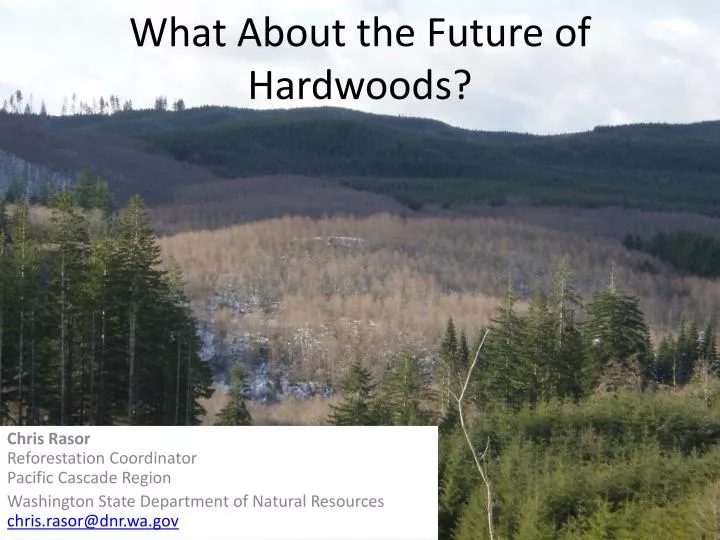 what about the future of hardwoods