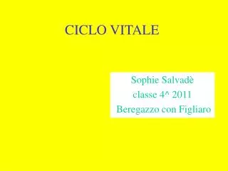 sophie salvad classe 4 2011 beregazzo con figliaro