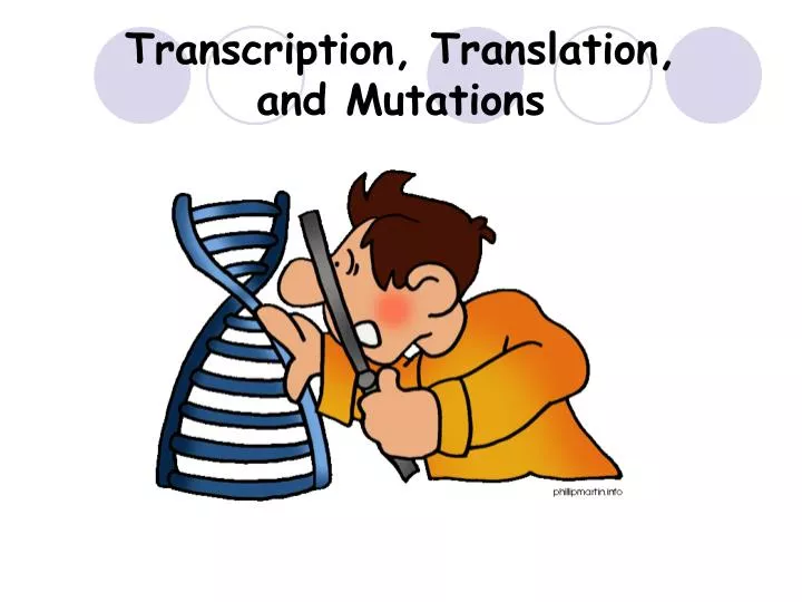transcription translation and mutations
