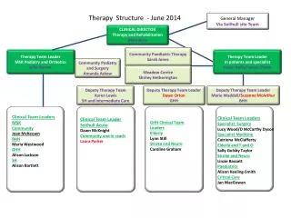 Therapy Structure - June 2014