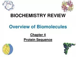 BIOCHEMISTRY REVIEW Overview of Biomolecules