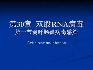 30 rna
