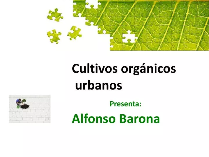 cultivos org nicos urbanos presenta alfonso barona