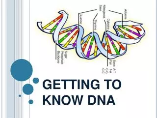 GETTING TO KNOW DNA