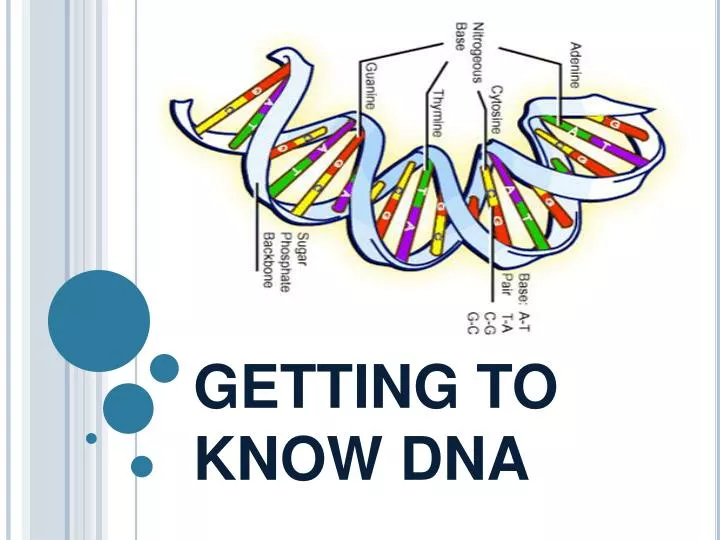 getting to know dna