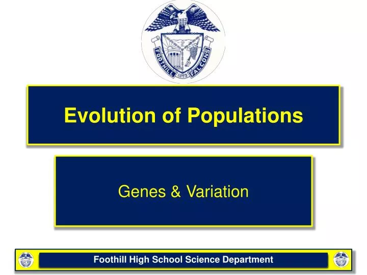 evolution of populations