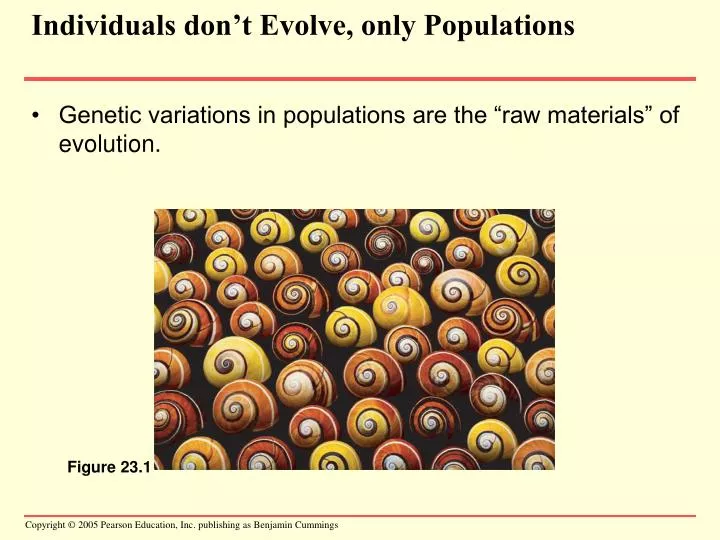 individuals don t evolve only populations