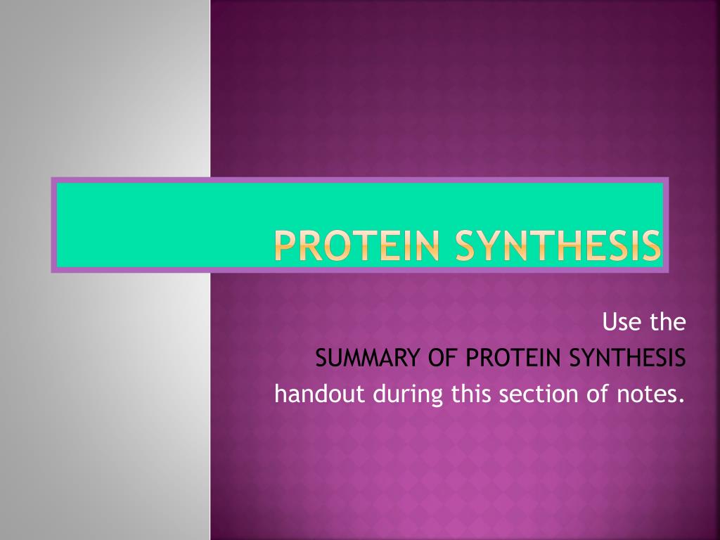 PPT - Protein Synthesis PowerPoint Presentation, free download - ID:6047608