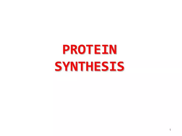 protein synthesis