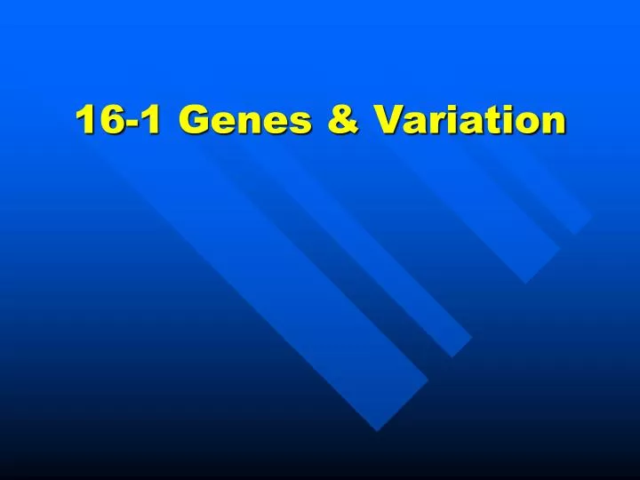 16 1 genes variation