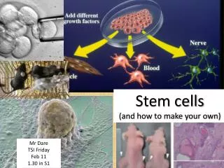 Stem cells (and how to make your own)