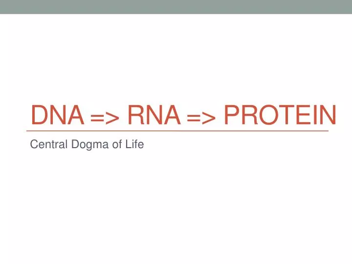 dna rna protein