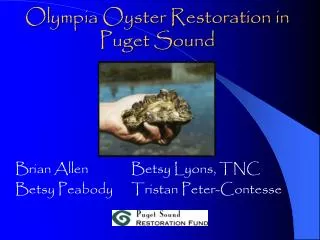 Olympia Oyster Restoration in Puget Sound