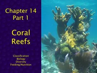 Chapter 14 Part 1 Coral Reefs Classification Biology Diversity Feeding/Nutrition