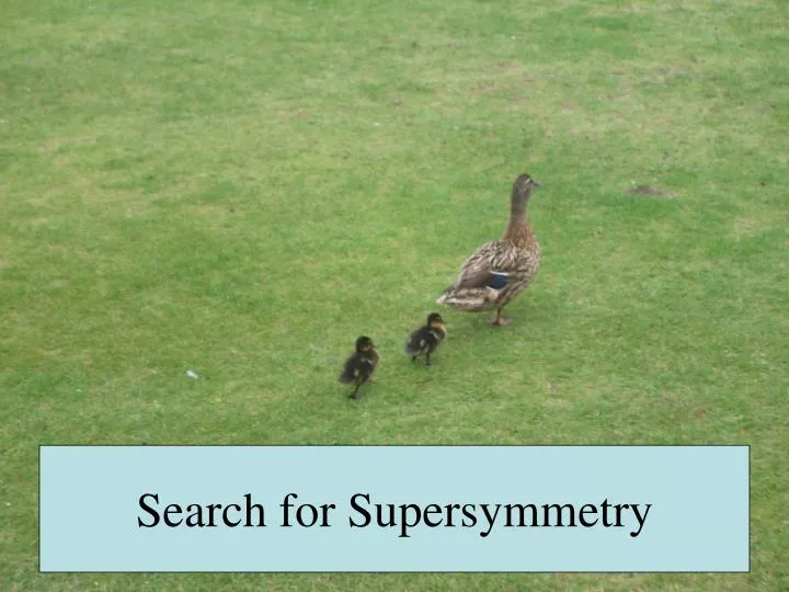 search for supersymmetry