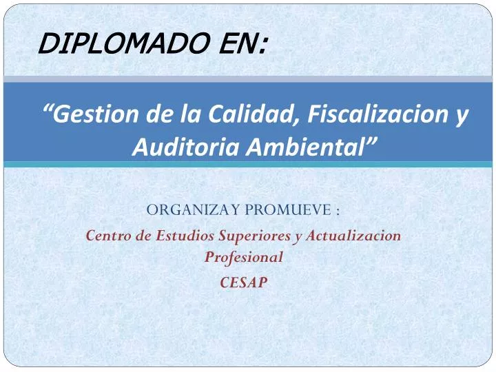 gestion de la calidad fiscalizacion y auditoria ambiental