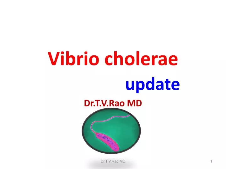 vibrio cholerae update