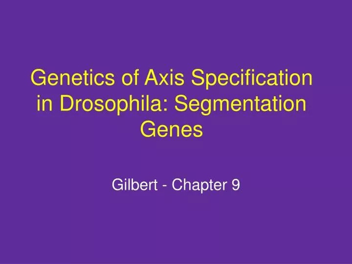 genetics of axis specification in drosophila segmentation genes