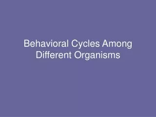 Behavioral Cycles Among Different Organisms