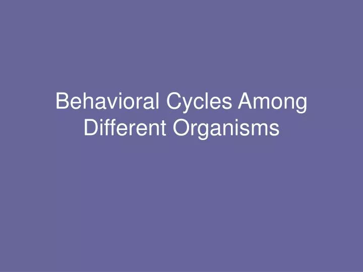 behavioral cycles among different organisms