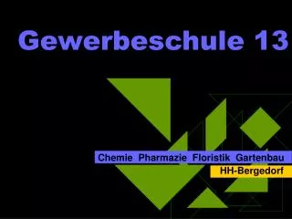gewerbeschule 13