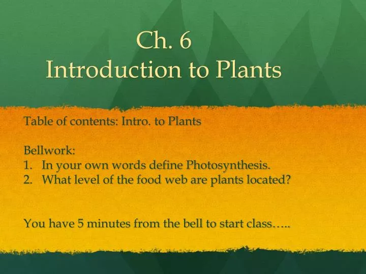 ch 6 introduction to plants