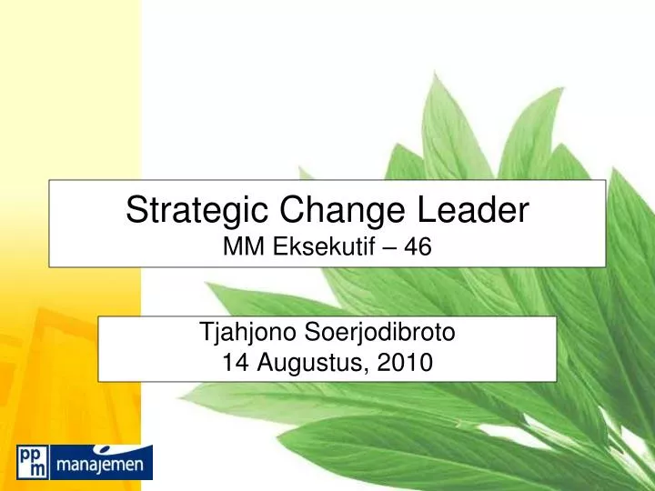 strategic change leader mm eksekutif 46