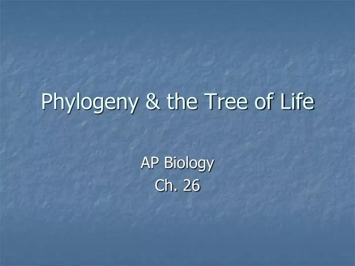 phylogeny the tree of life