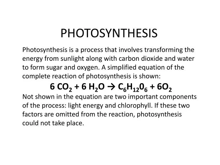 photosynthesis