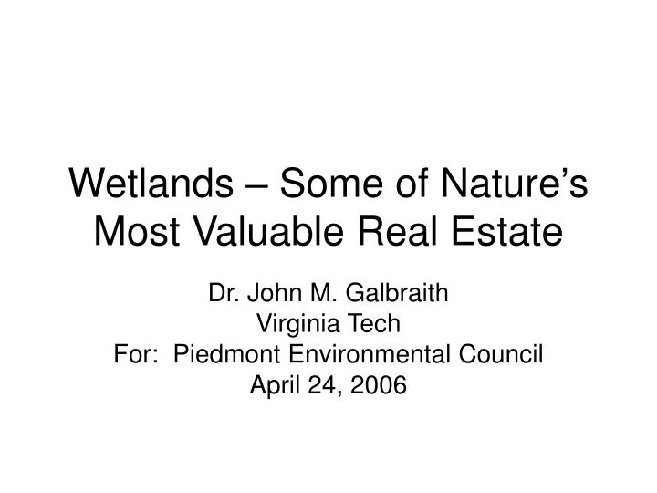 wetlands some of nature s most valuable real estate
