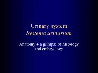 Urinary system Systema urinarium