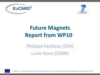 Future Magnets Report from WP10