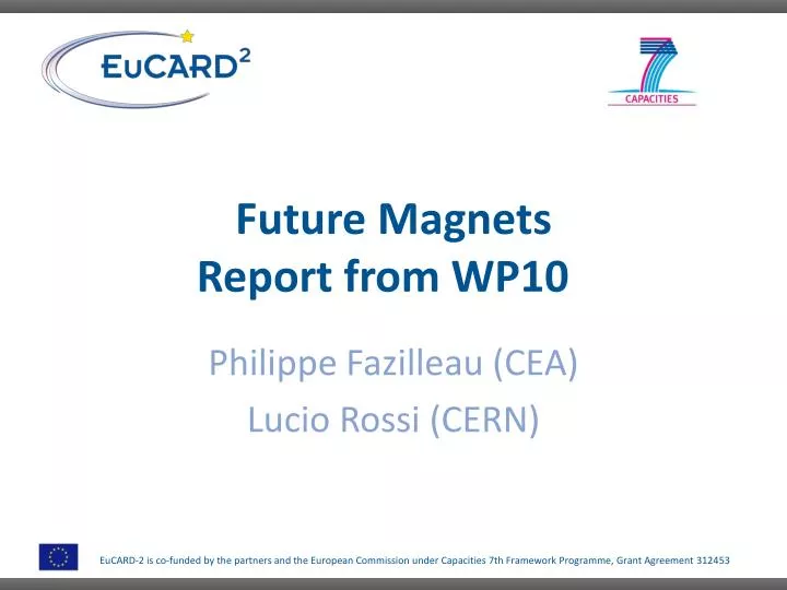 future magnets report from wp10