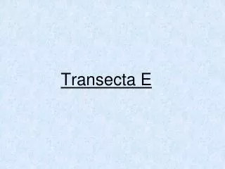 transecta e