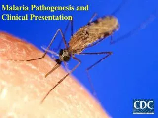 Malaria Pathogenesis and Clinical Presentation