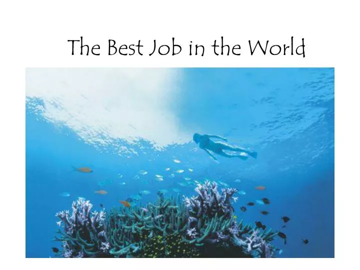 the best job in the world